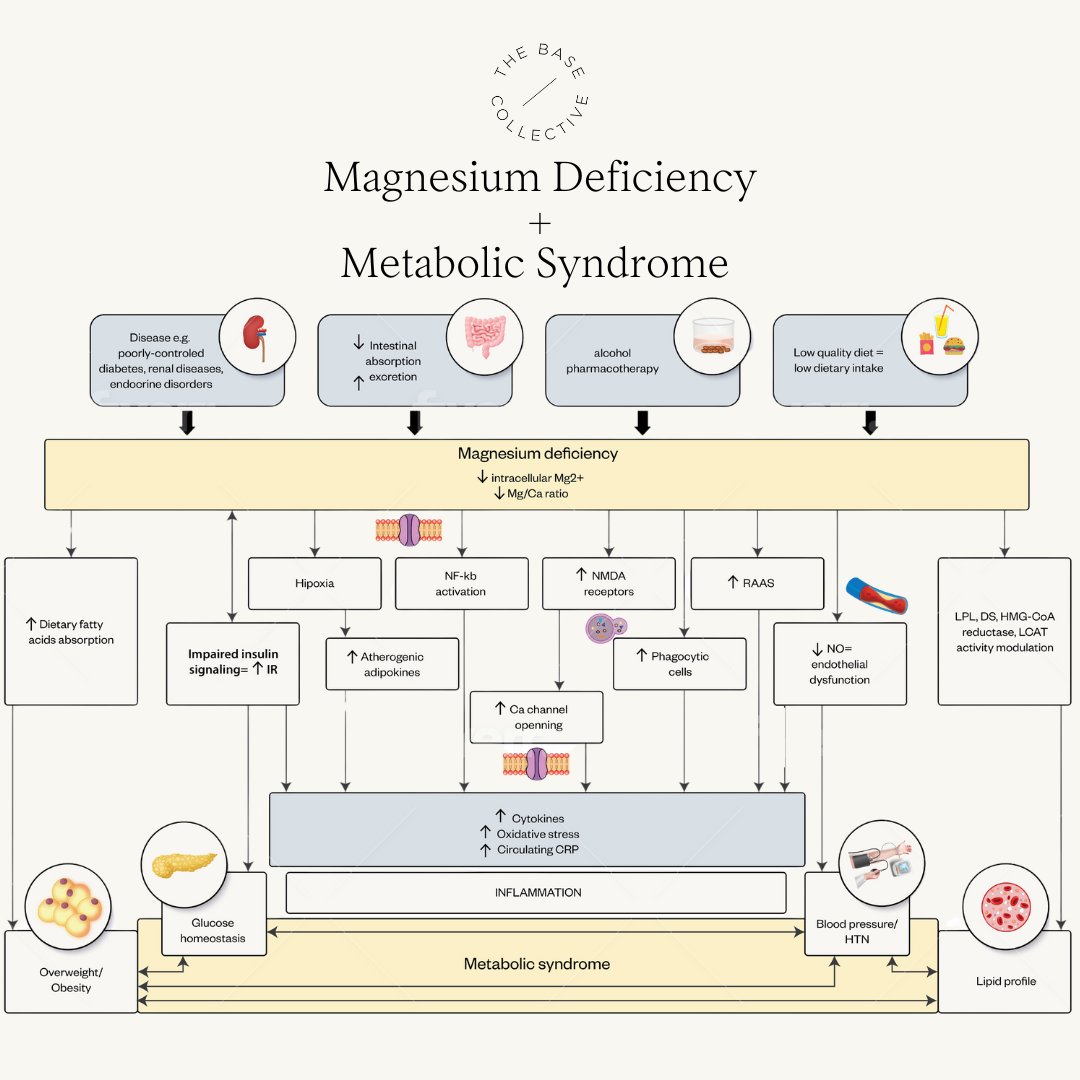 The Vital Role of Magnesium in Combatting Insulin Resistance and Weight Gain